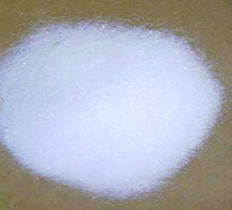 饲料91麻豆精品秘密入口对动物的好处